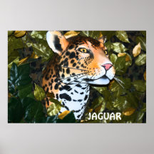 POSTER DE JAGUAR QUE AMENAZA