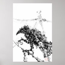 Poster de Karasu
