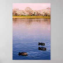 Poster de Kyoto en primavera