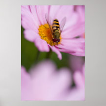 Poster de la abeja