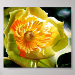 "Poster de la acuarela de la flor del amarillo del