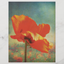 Poster de la amapola tarjeton