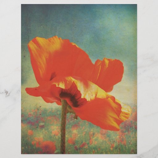 Poster de la amapola tarjeton