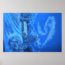 Poster de la aurora