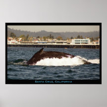 Poster de la ballena jorobada de Santa Cruz, Calif