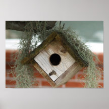 Poster de la casa del pájaro