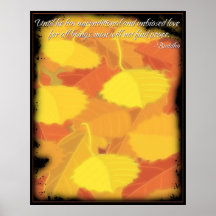 Poster de la cita del amor de Buda