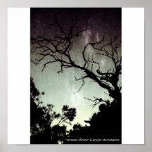 Poster de la ducha de Perseids pequeño