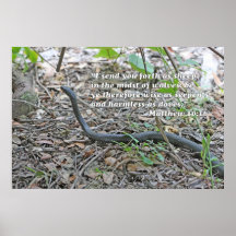Poster de la escritura del 10:16 de Matthew