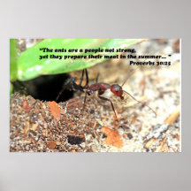 Poster de la escritura del 30:25 de los proverbios