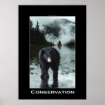 Poster de la fauna de la PROTECCIÓN del oso negro