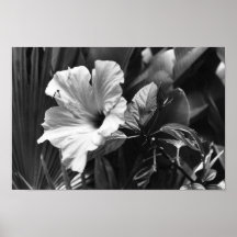 Poster de la flor