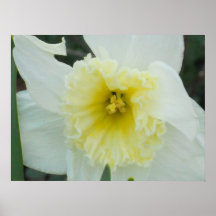 poster de la flor
