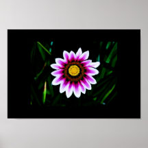 POSTER DE LA FLOR