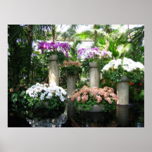 Poster de la flor - 0609