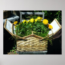 Poster de la flor de cesta