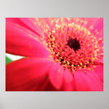 poster de la flor o impresión de la lona