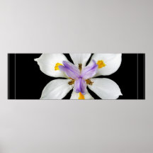 Poster de la floración