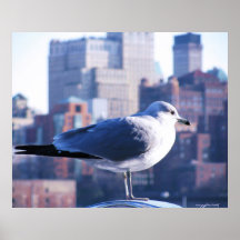 Poster de la fotografía de Brooklyn, New York City