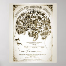Poster de la frenología