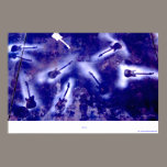 Poster de la guitarra del cielo posters
