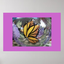 POSTER DE LA IMPRESIÓN (MARIPOSA)