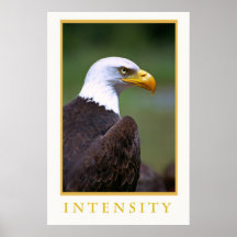 Poster de la intensidad