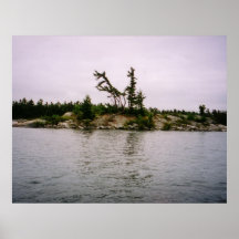 Poster de la isla
