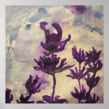 Poster de la lavanda