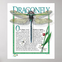 Poster de la libélula