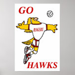 Poster de la mascota del voleibol de GHawk