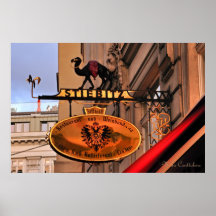 Poster de la muestra 17