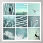 poster de la naturaleza de la aguamarina 3x3