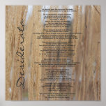 Poster de la naturaleza de los desiderátums