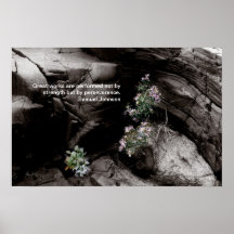 Poster de la perseverencia, aster salvaje en las r