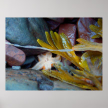 Poster de la piel y del Mar-k