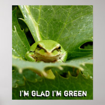 Poster de la rana