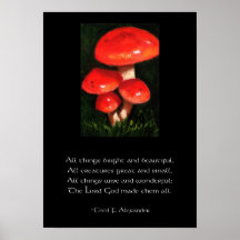 POSTER DE LA SETA