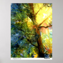 Poster de la "sol" de PMACarlson