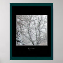Poster de la sorpresa de la nieve de la primavera