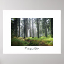 Poster de la tranquilidad