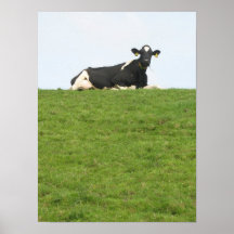 Poster de la vaca