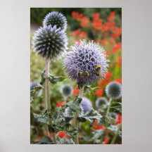 Poster de las abejas ocupadas…
