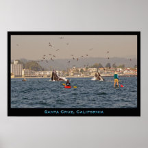 Poster de las ballenas jorobadas de Santa Cruz, Ca