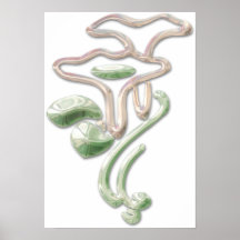 Poster de las flores de Deco