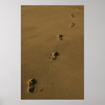 poster de las huellas