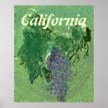 Poster de las uvas de California