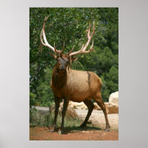 poster de los alces