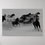 Poster de los caballos salvajes