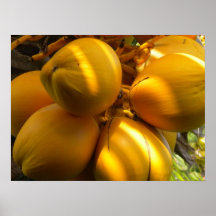 Poster de los cocos